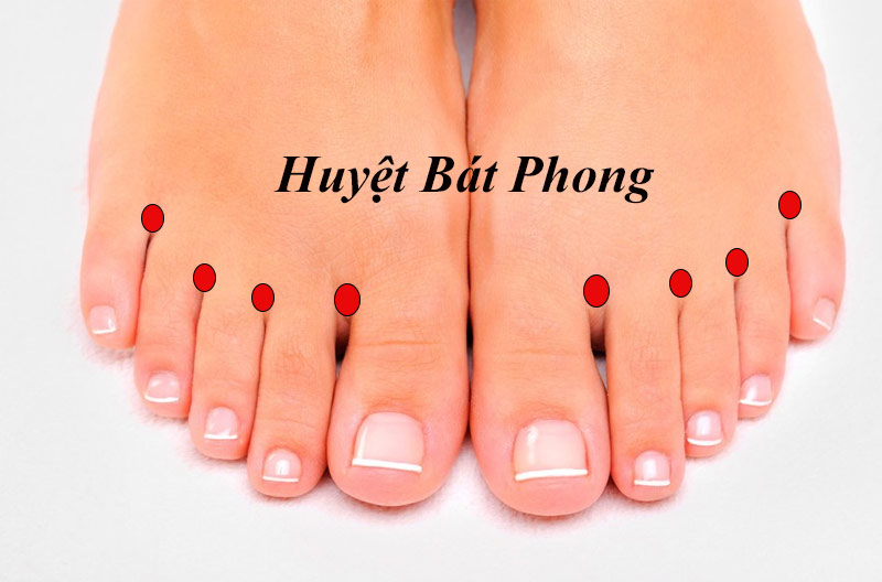 Huyệt Bát Phong: Vị trí, tác dụng và cách châm cứu, bấm huyệt