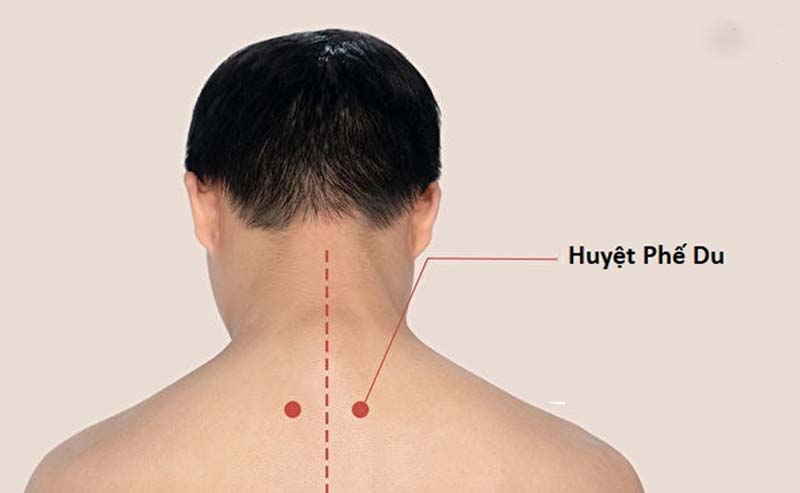 Huyệt Phế Du: Ý nghĩa, công năng và ứng dụng chữa bệnh