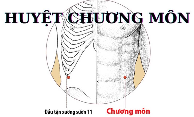 Huyệt Chương Môn: Vị trí, tác dụng và cách tác động