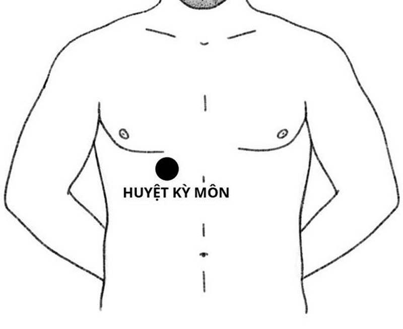 Huyệt Kỳ Môn: Vị trí, tác dụng và cách châm cứu bấm huyệt