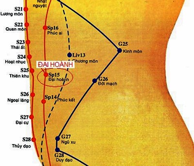 Huyệt Đại Hoành có tác dụng gì? Vị trí và cách bấm huyệt