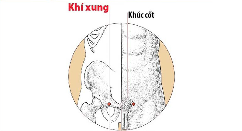 Huyệt Khúc Cốt: Vị trí, tác dụng và cách châm cứu, bấm huyệt