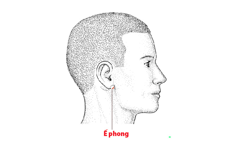 Huyệt Ế Phong: Vị trí, tác dụng và cách khai thông