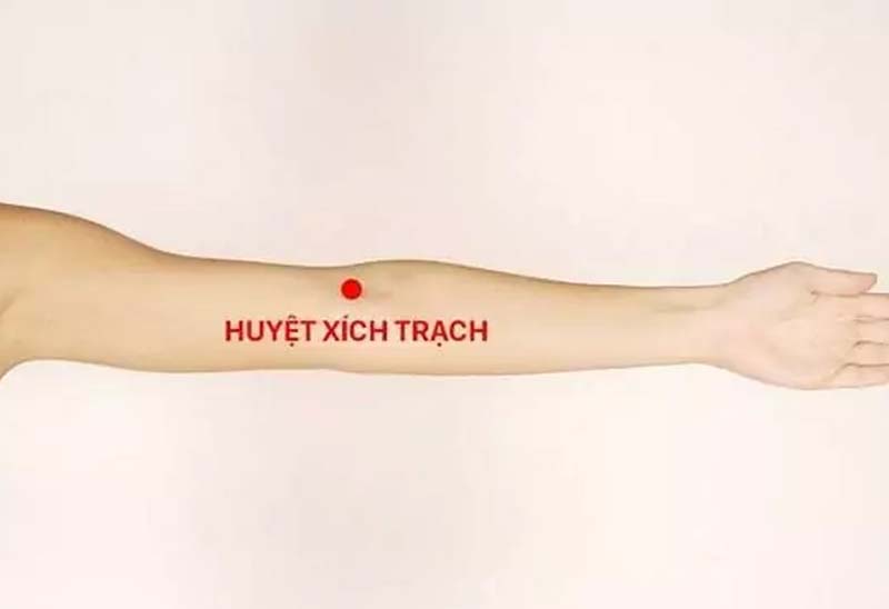 Huyệt Xích Trạch: Vị trí, tác dụng và cách châm cứu, bấm huyệt
