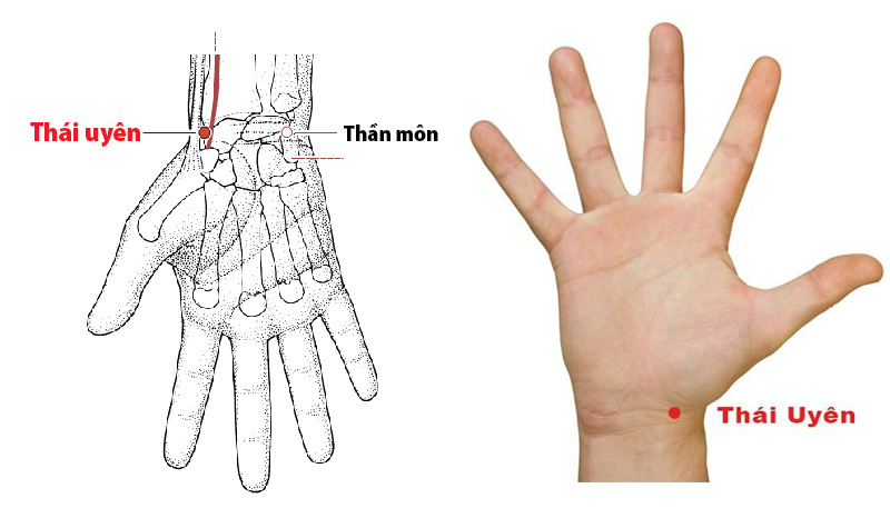 Huyệt Thái Uyên: Vị trí, tác dụng và cách châm cứu, bấm huyệt