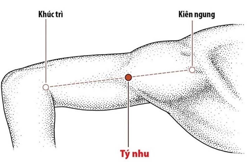 Huyệt Tý Nhu: Vị trí, công dụng và cách châm cứu, bấm huyệt