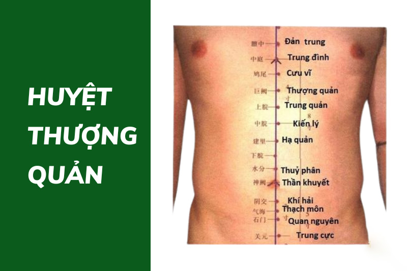 Huyệt Thượng Quản: Vị trí, tác dụng và cách châm cứu bấm huyệt