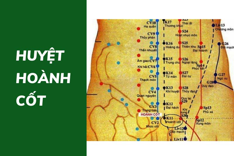 Huyệt Hoành Cốt: Vị trí, công dụng và kỹ thuật kích thích