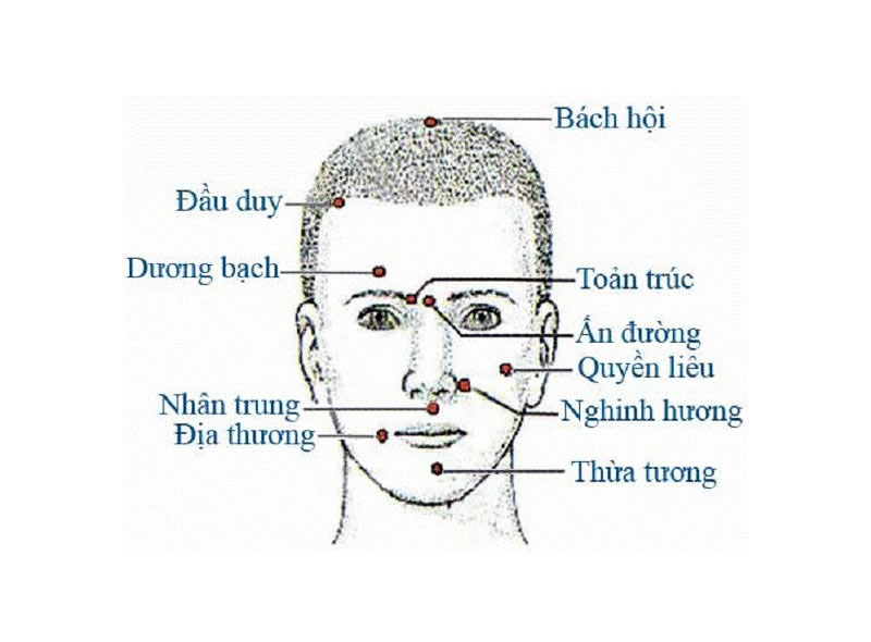 Huyệt Thừa Tương: Vị trí, tác dụng và cách khai thông